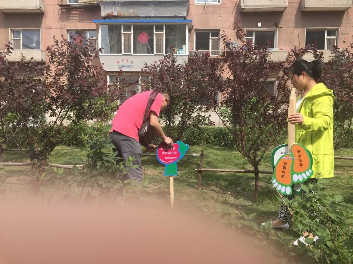做好绿化  美我家园