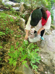 党员志愿者旅游日为游客服务