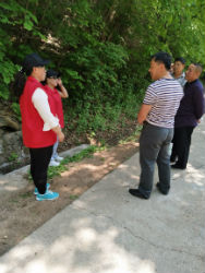 党员志愿者旅游日为游客义务导游