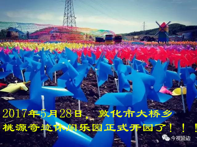 敦化市大桥乡桃园奇迹休闲乐园正式开园了！
