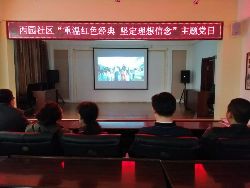 5.5主题党员活动日