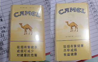 CAMEL骆驼