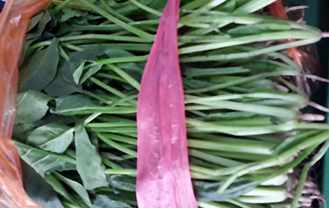 菠菜