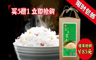 家在东北生态贡米5kg