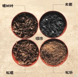 精品君子兰特级花土 精心配比腐叶土花草专用营养土