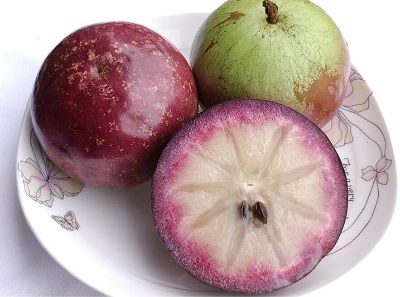 牛奶果铂金果2kg精选装