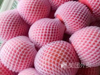 大富士500G
