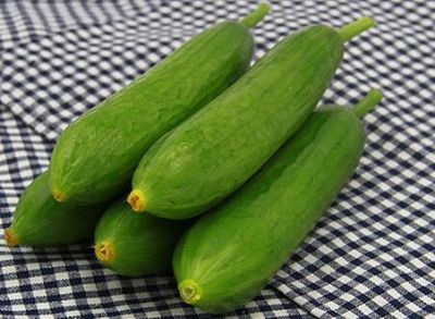 荷兰黄瓜 600g