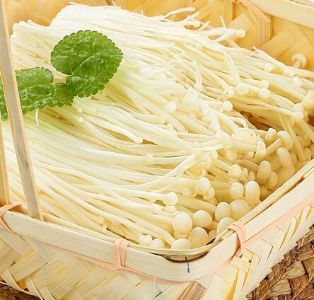 金针菇500g