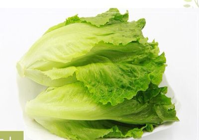 罗马生菜500g