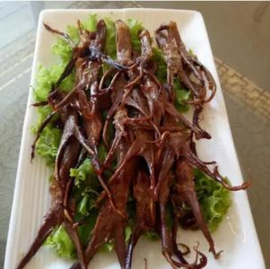鸭舌