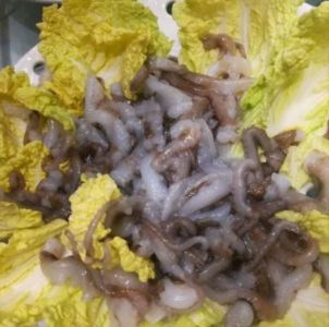 生吃八爪鱼