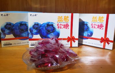 野山神蓝莓软糖