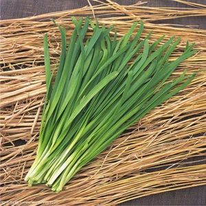 韭菜500g
