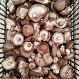 香菇250g