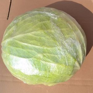大头菜