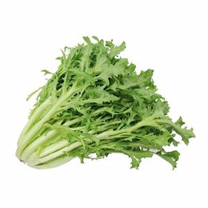苦苣250g
