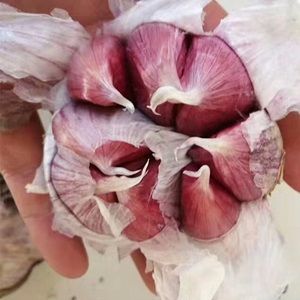 大蒜500g