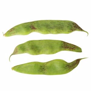 九月豌豆角500g