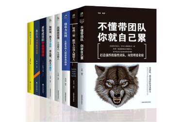 8册企业管理书籍